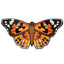 Monarch
