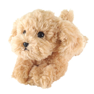 Sunlemon realistic beige toy poodle lap dog plush