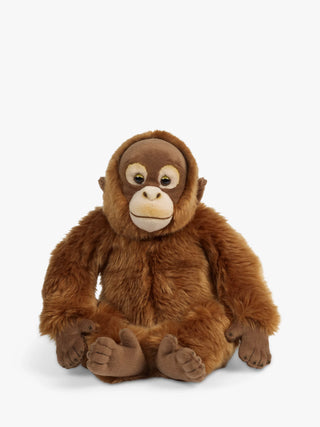 Living Nature Orangutan