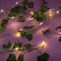 Photo Collage and Ivy Fairy Lights