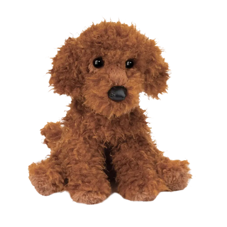Douglas Ginger Minature Poodle