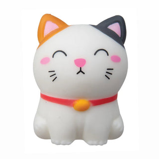 Pudgiez Clever Cat