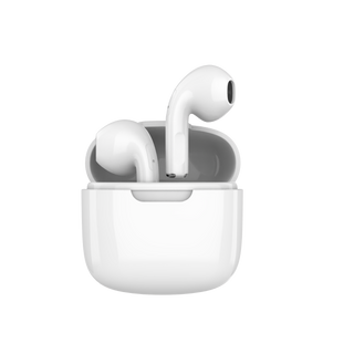 Wireless TWS Bluetooth Earbuds