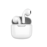 Wireless TWS Bluetooth Earbuds