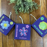 Blossom Soap Infused Sponge