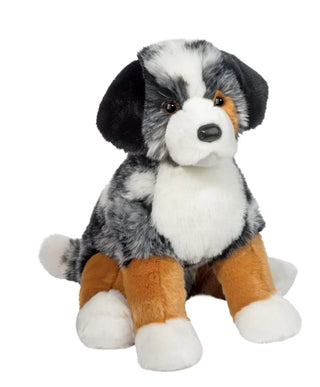 Douglas Aspen Australian Shepherd