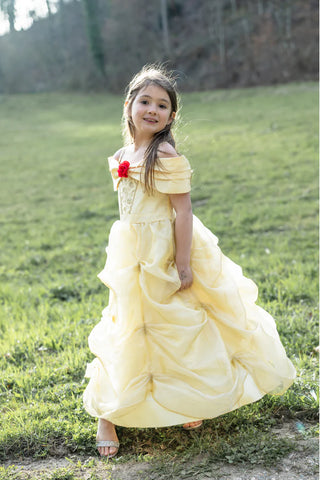 Once Upon A Princess Princess Beauty Dress