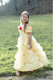Once Upon A Princess Princess Beauty Dress