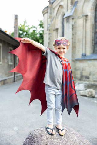 4/6 Web Weaver Soft Cape with Mask