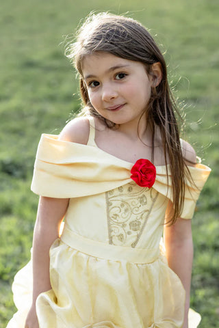 Once Upon A Princess Princess Beauty Dress