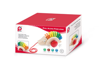 PINToy wooden pull-along porcupine with rainbow quills