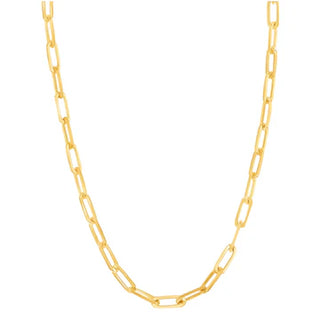Charm Chain Necklace