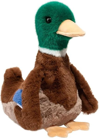 Douglas Desie Mallard Duck