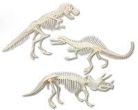 Dissect-It® Dino Dig Interactive Simulation Stem Toy