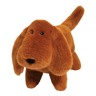 Douglas Dale Dachshund Muzzle