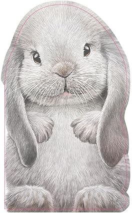 Furry Bunny: A Mini Touch and Feel Book