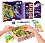 Okto Wood and Craft Energy Succulents