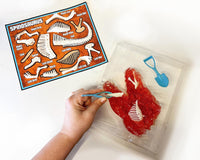 Dissect-It® Dino Dig Interactive Simulation Stem Toy