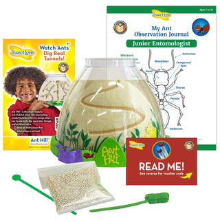 Ant Hill Tunneling and Viewing Kit