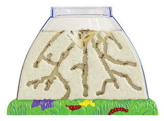 Ant Hill Tunneling and Viewing Kit