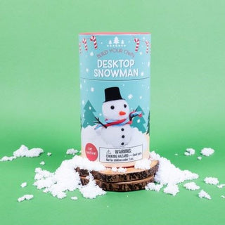 Build Your Own Desktop Snowman
