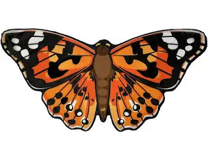 Insect Lore Wearable Butterfly Wings