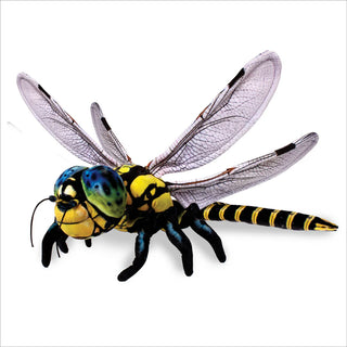 Real Planet Dragon Fly 22"