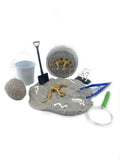 EGKD Dinosaur Fossil Dig Play Dough Kit