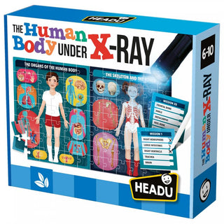 The Human Body Under X-Ray Puzzle
