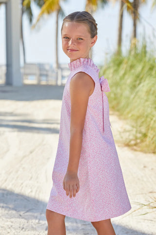 Little English Pink Vinings Sleeveless Elizabeth Dress