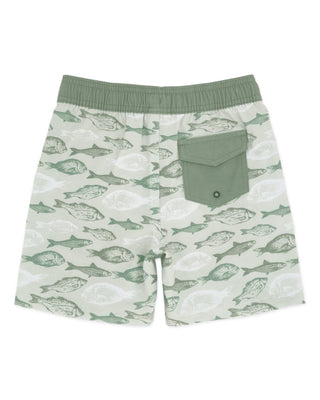 Feather 4 Arrow Sage Classic Boardshort - Fresh Catch