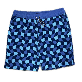 Andy & Evan Blue Checkered Boys Lined Swim Trunks