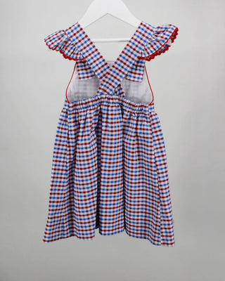 Charming Little One Blue and Red Plaid Gracie Plaid Dress