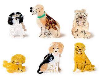 Assorted Dog Hair Claw Clips