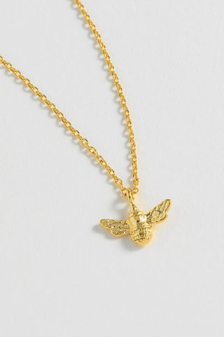 Estella Bartlett Gold-Plated Bee Positive Necklace