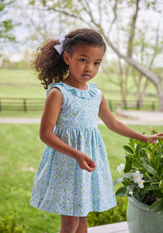 Little English Isabel Dress - Millbrook Floral