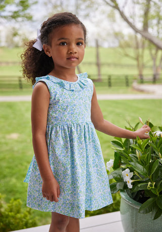 Little English Isabel Dress - Millbrook Floral