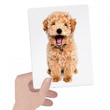 Montessori Tactile Flashcards