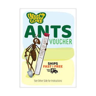 Ant Hill Tunneling and Viewing Kit