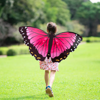 Insect Lore Wearable Butterfly Wings