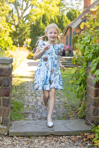 Pink Chicken Blue Vintage Butterflies Dress