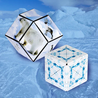SHASHIBO Shape Shifting Box - Brain Puzzle