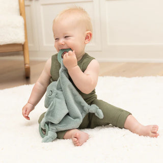 Bella Tunno Teether Buddy - Green Frog