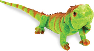 Real Planet Iguana Green 30"
