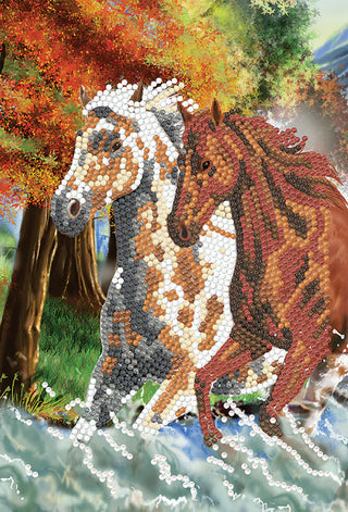 Notebook Kit: Wild Horses