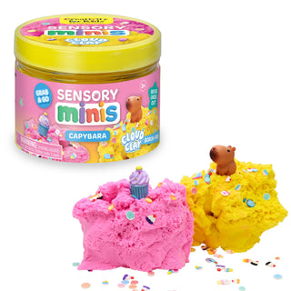 Sensory Minis Playdough Kits