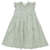 Pink Chicken Green Mini Ditsy Stevie Dress