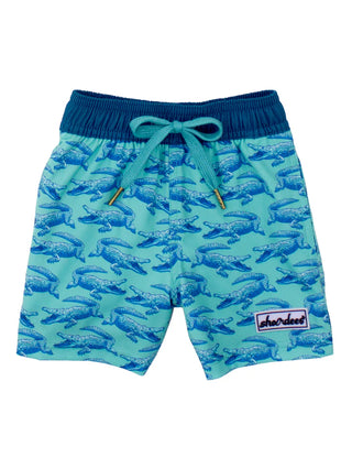 Properly Tied Boys Shordees Swim Trunks- Chomp