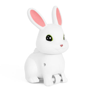 Push 'N' Go Rabbit