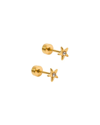 Linny Co. Screwback Stud Earrings - Scout Star